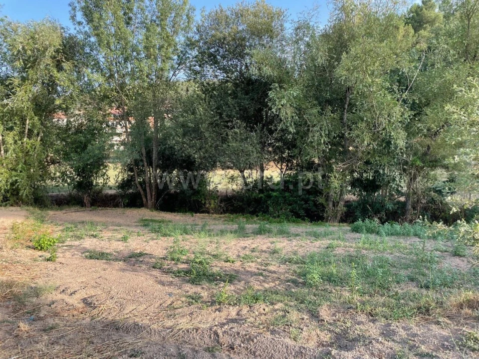 Terreno para Venda em Orjais Foto 3