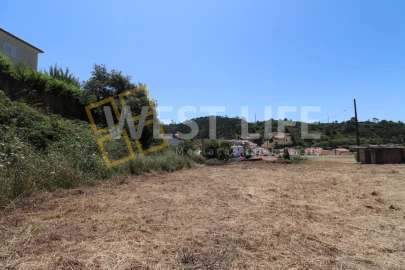 Terreno para Venda em Azueira e Sobral da Abelheira