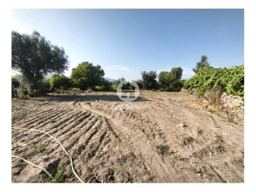 Terreno para Venda em Cossourado