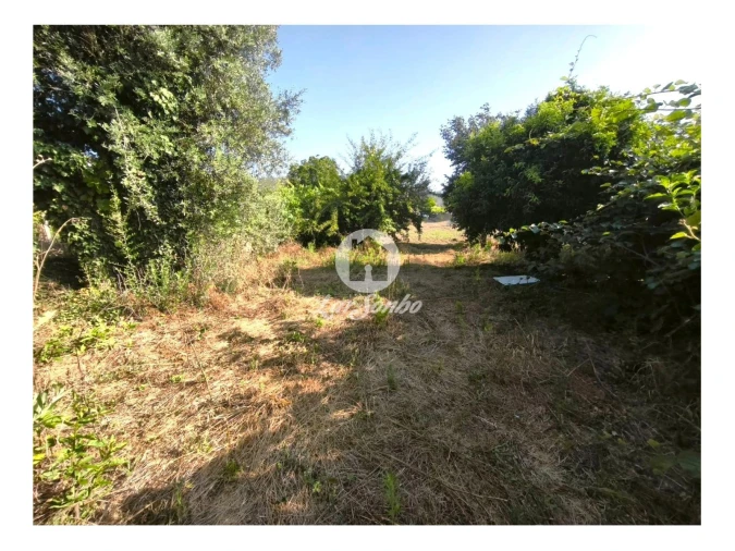Terreno para Venda em Cossourado Foto 3