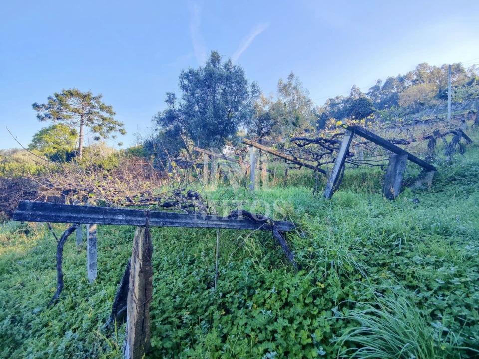 Terreno para Venda em Gondar e Orbacém Foto 9