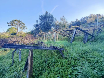 Terreno para Venda em Gondar e Orbacém