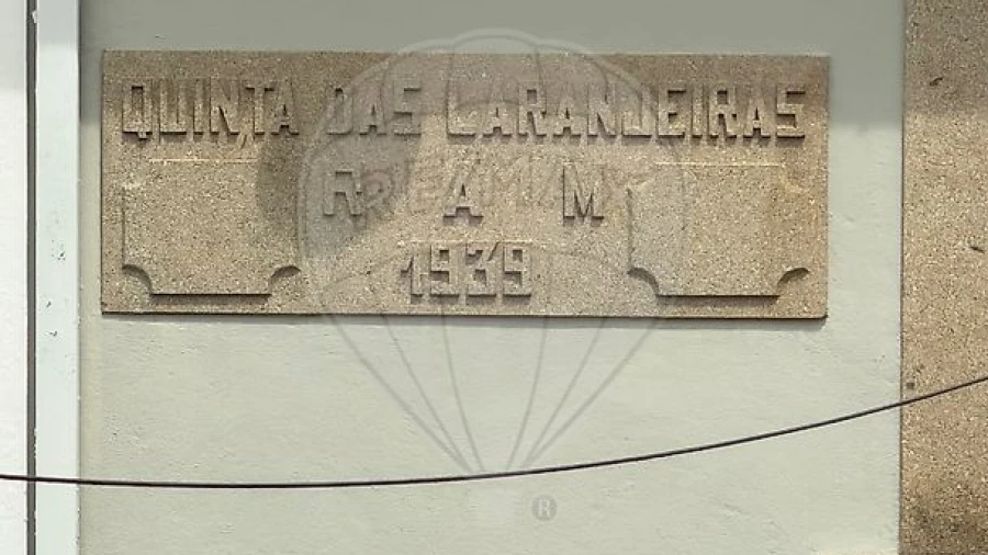 Quinta T5 para Venda em Macieira de Cambra
