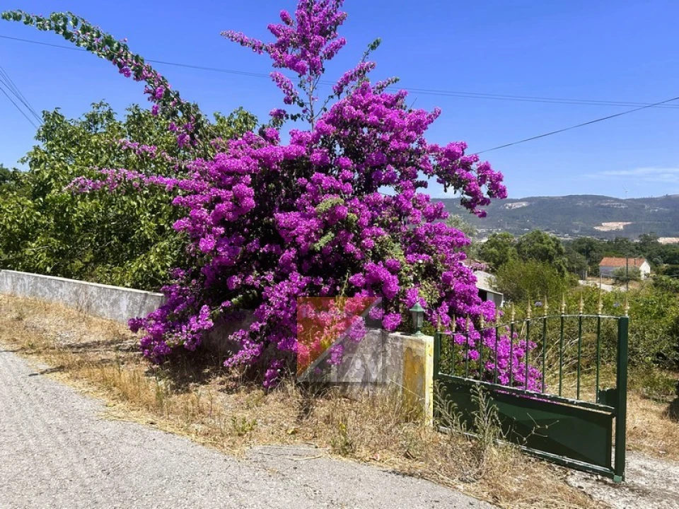 Moradia T2 para Venda em Aljubarrota Foto 5