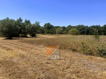 Moradia T2 para Venda em Aljubarrota