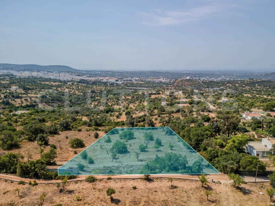 Terreno para Venda em Loule (São Sebastião) Foto 3