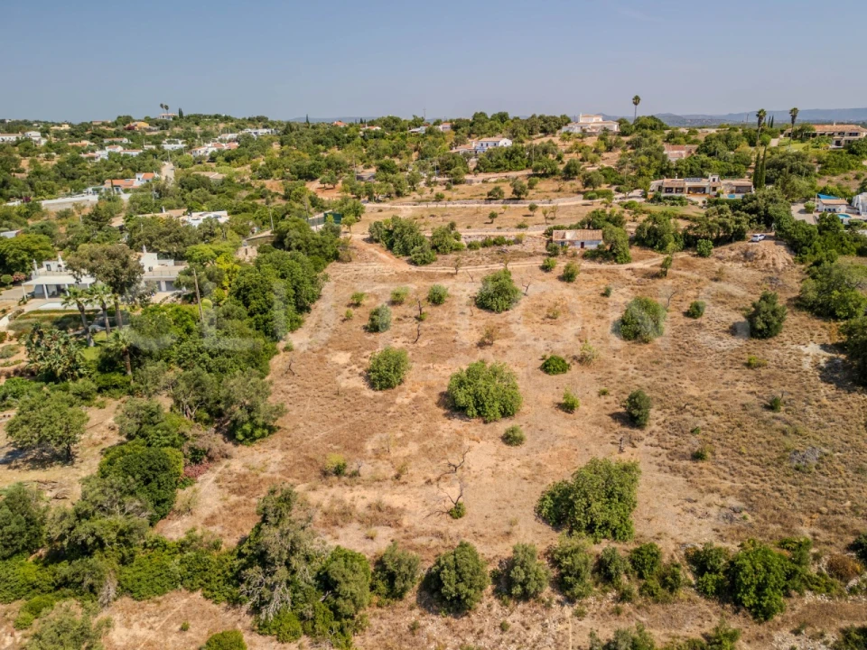 Terreno para Venda em Loule (São Sebastião) Foto 5