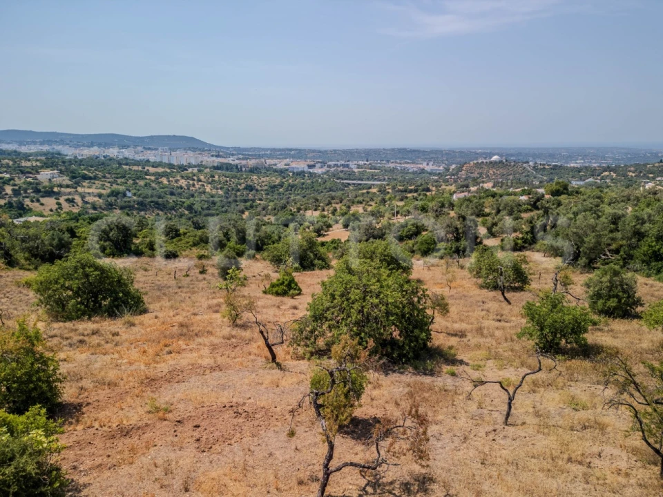 Terreno para Venda em Loule (São Sebastião) Foto 17