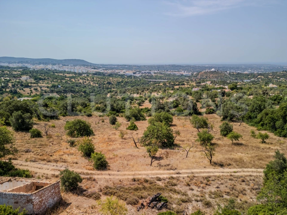 Terreno para Venda em Loule (São Sebastião) Foto 18