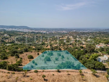Terreno para Venda em Loule (São Sebastião)