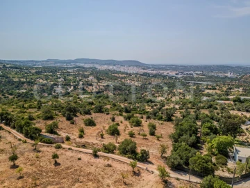 Terreno para Venda em Loule (São Sebastião)