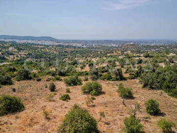 Terreno para Venda em Loule (São Sebastião)