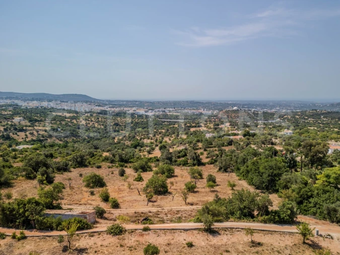 Terreno para Venda em Loule (São Sebastião) Foto 9