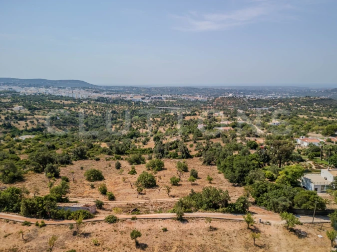 Terreno para Venda em Loule (São Sebastião) Foto 11