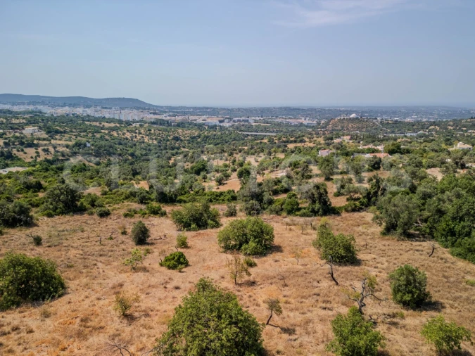 Terreno para Venda em Loule (São Sebastião) Foto 19