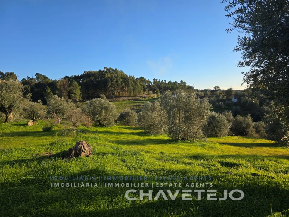 Terreno para Venda em Martinchel Foto 2