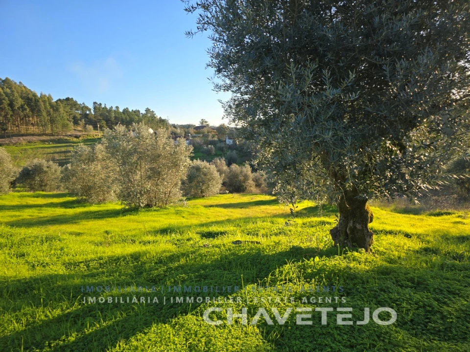 Terreno para Venda em Martinchel Foto 7