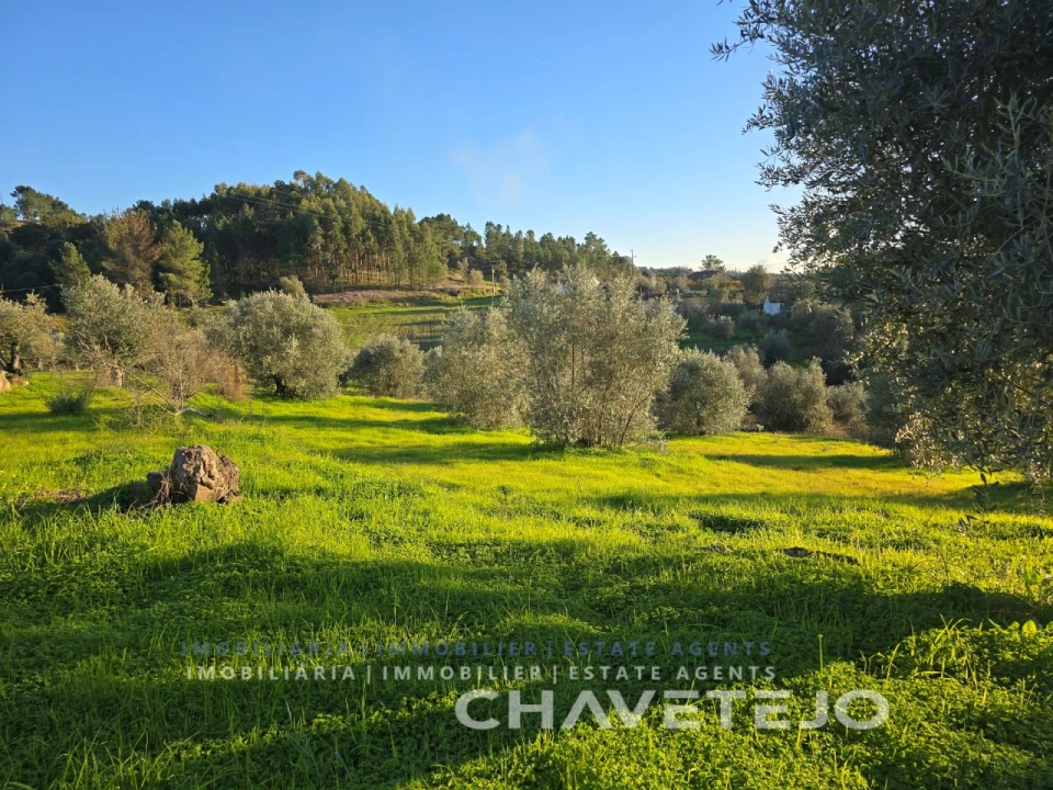 Terreno para Venda em Martinchel Foto 3