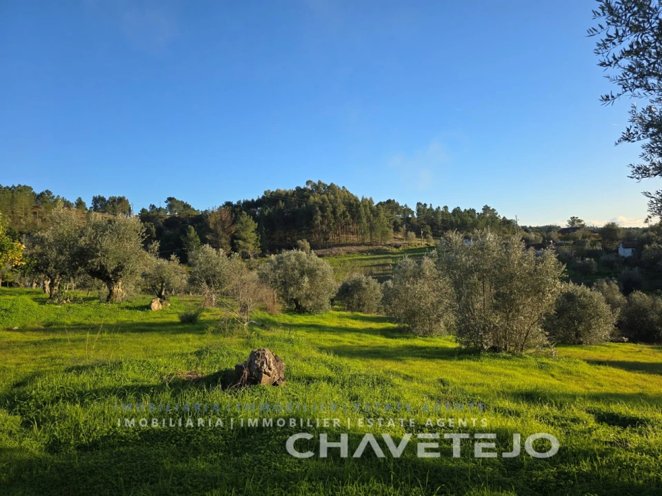 Terreno para Venda em Martinchel Foto 9