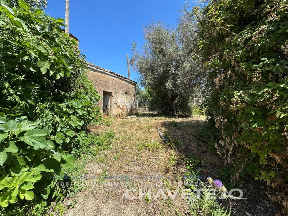 Quinta T2 para Venda em São João Baptista e Santa Maria dos Olivais Foto 11