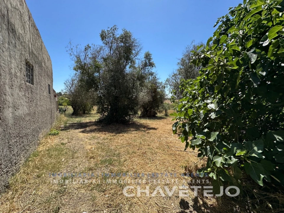 Quinta T2 para Venda em São João Baptista e Santa Maria dos Olivais Foto 12