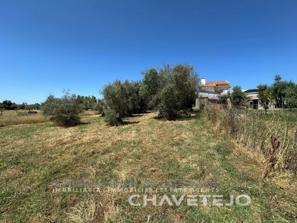 Quinta T2 para Venda em São João Baptista e Santa Maria dos Olivais Foto 14