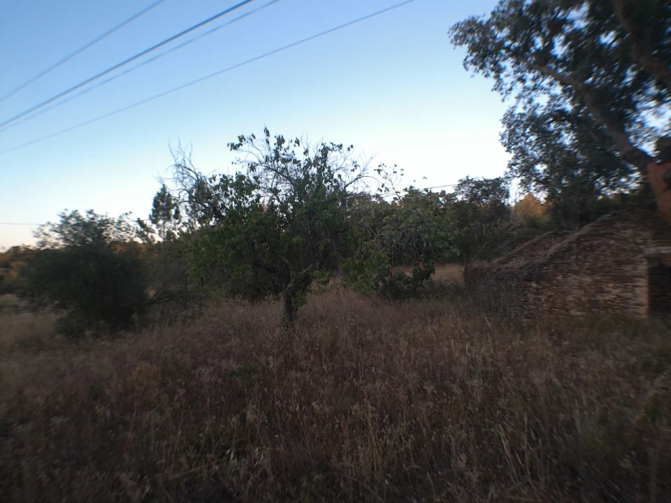 Quinta para Venda em Esperança Foto 2