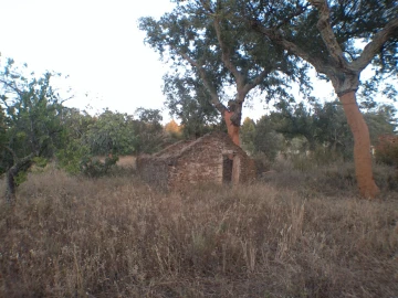 Quinta para Venda em Esperança