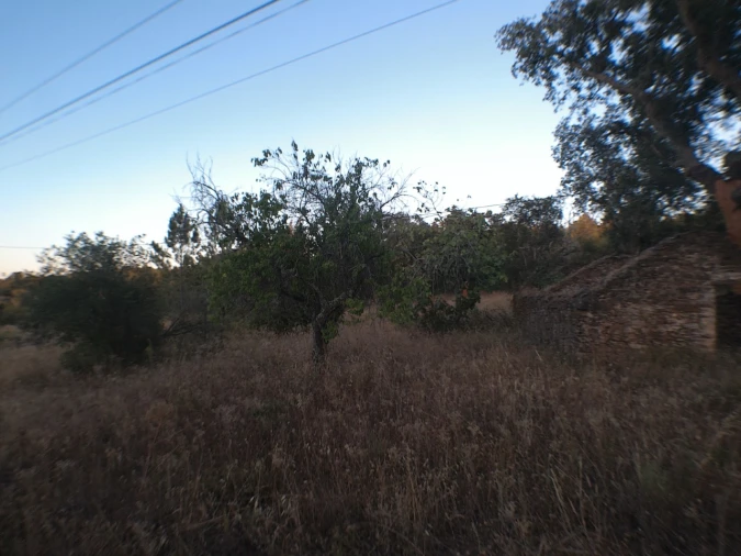 Quinta para Venda em Esperança Foto 2