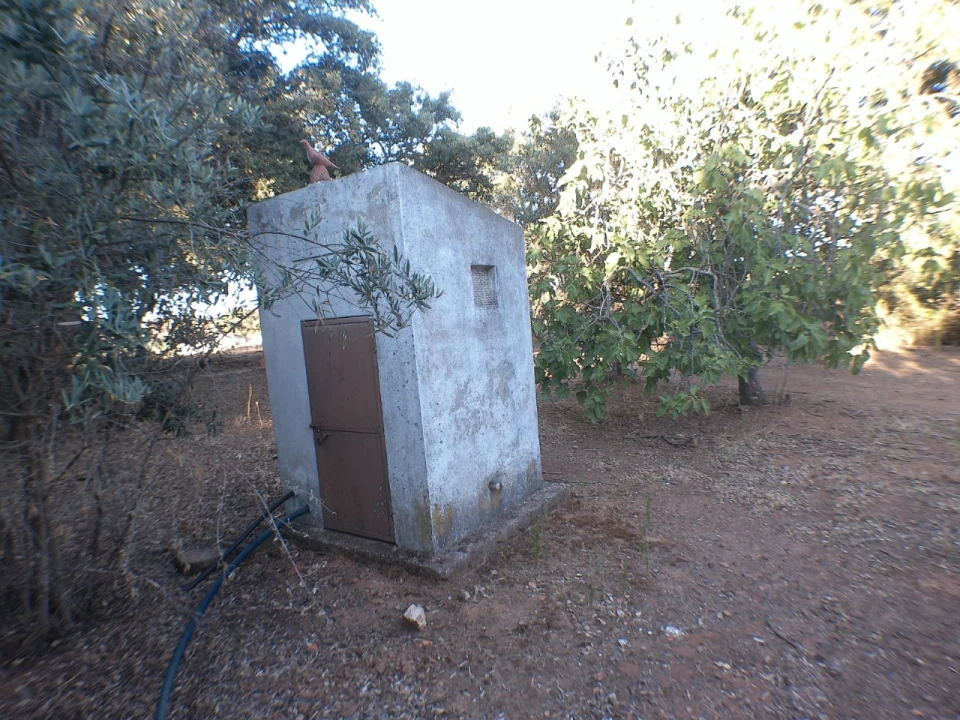 Quinta T2 para Venda em Esperança Foto 15