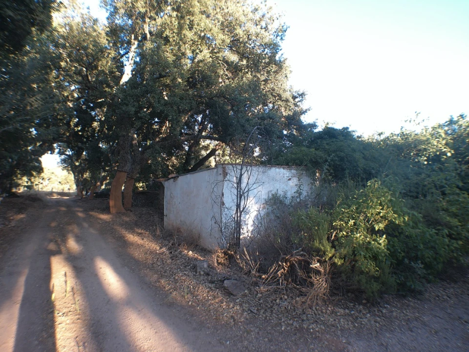Quinta T2 para Venda em Esperança Foto 21