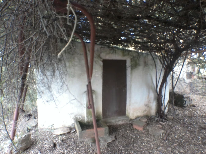 Quinta T2 para Venda em Esperança Foto 5