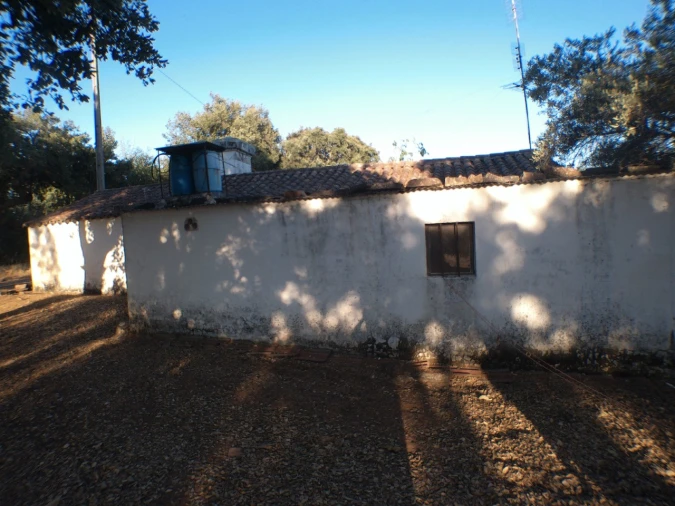 Quinta T2 para Venda em Esperança Foto 22