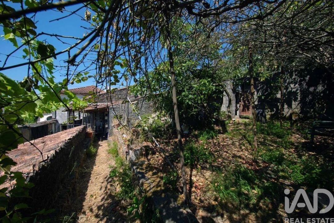 Moradia T3 para Venda em Lousã e Vilarinho Foto 19