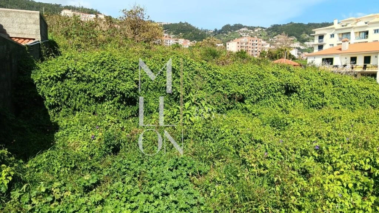 Terreno para Venda em Caniço Foto 6
