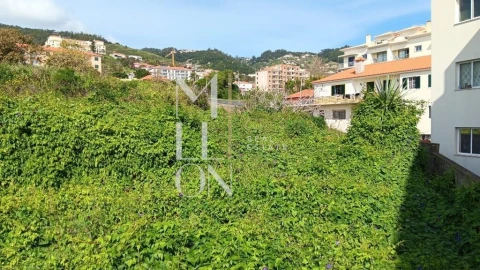 Terreno para Venda em Caniço