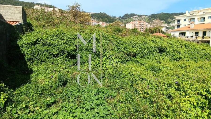 Terreno para Venda em Caniço Foto 6