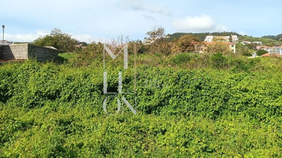 Terreno para Venda em Caniço Foto 3