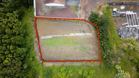 Terreno para Venda em Madalena