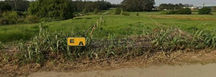 Terreno para Arrendamento em Perafita, Lavra e Santa Cruz do Bispo