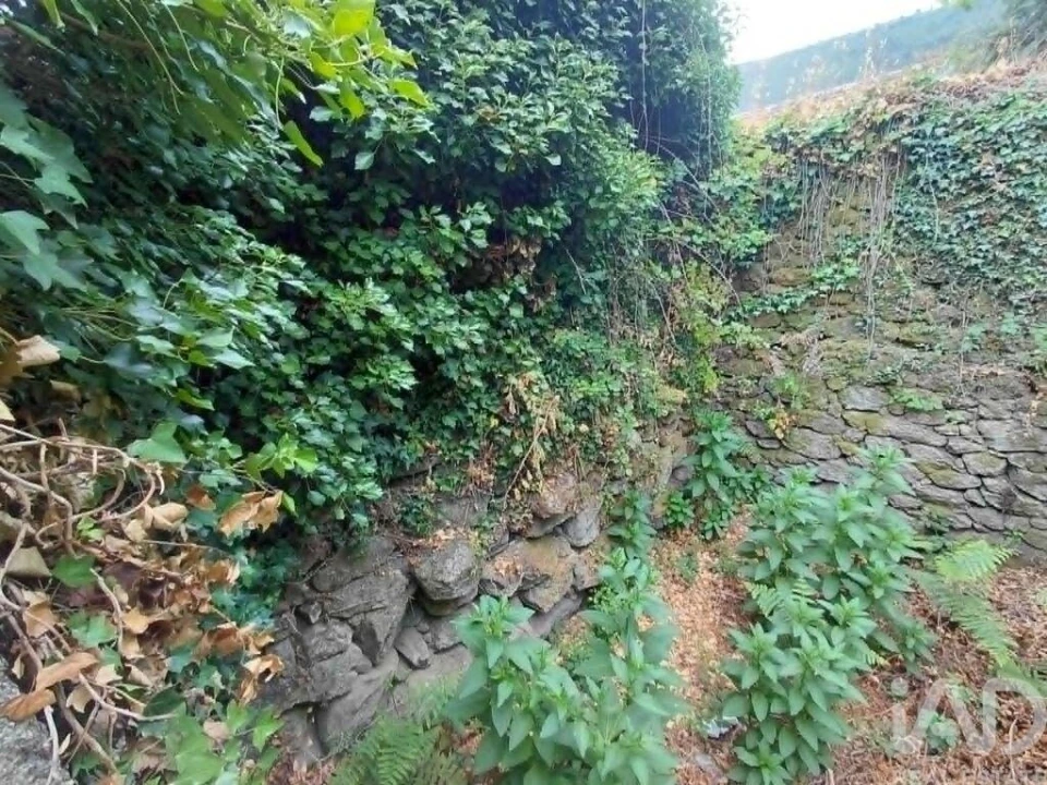Terreno para Venda em Chaviães e Paços Foto 4
