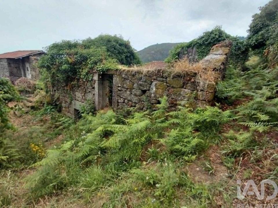 Terreno para Venda em Chaviães e Paços Foto 2