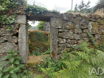 Terreno para Venda em Chaviães e Paços
