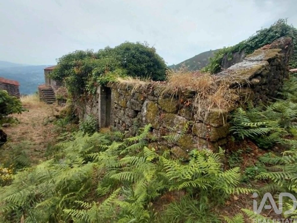Terreno para Venda em Chaviães e Paços Foto 10