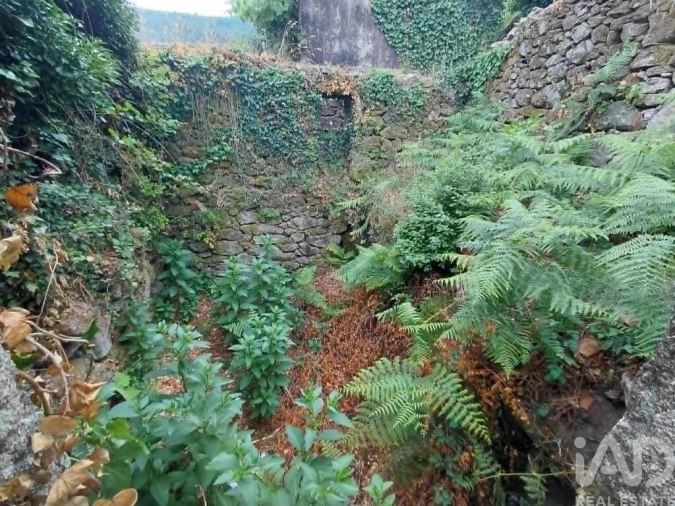Terreno para Venda em Chaviães e Paços Foto 6