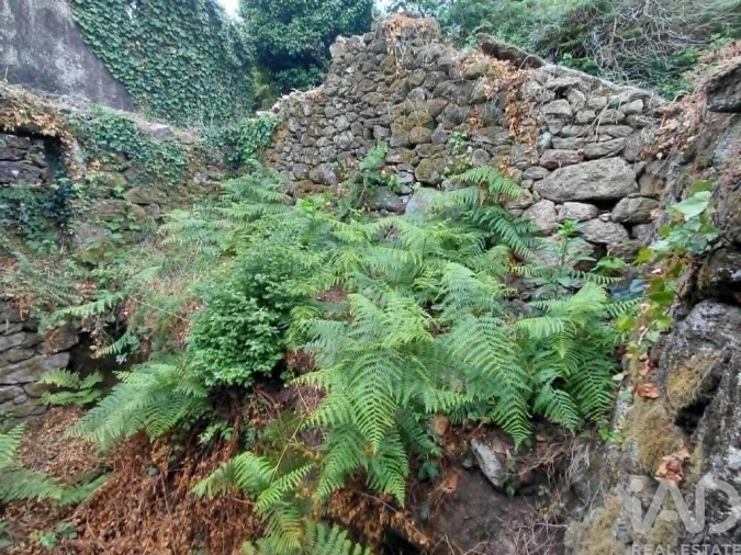 Terreno para Venda em Chaviães e Paços Foto 7
