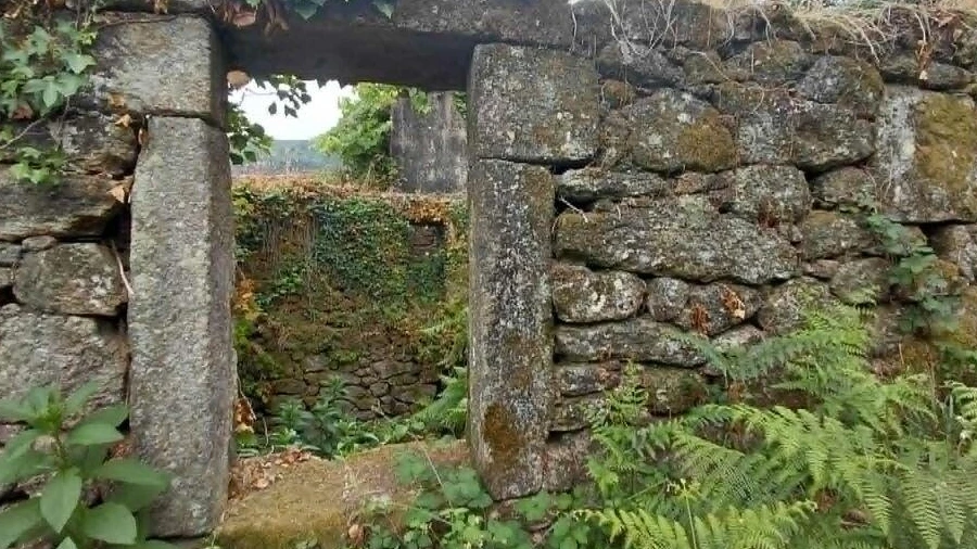 Terreno para Venda em Chaviães e Paços