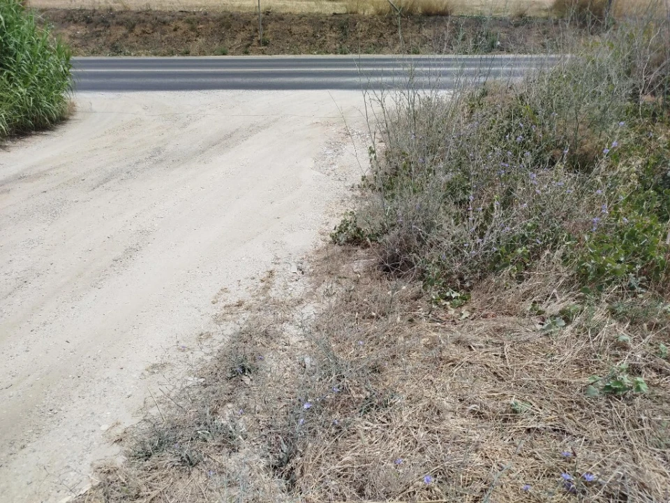 Terreno para Venda em Carregado e Cadafais Foto 6