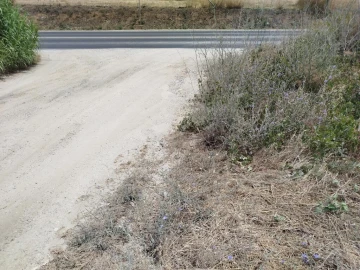 Terreno para Venda em Carregado e Cadafais