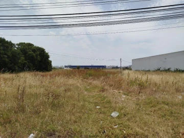 Terreno para Venda em Carregado e Cadafais